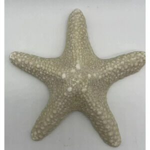 Faux Starfish Wall Art 7 Inches Natural Looking Molded Cement‎ Handmade